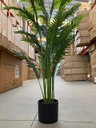 Ver imagem 3 de Planta Artificial Palmeira Real Toque para Decoração Com1.20m, Planta Decorativa para Casa e Eventos