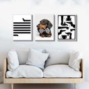 Ver imagem 1 de Kit 3 Quadros Cão Raça Dachshund - Salsicha 33x24cm:madeira Preta
