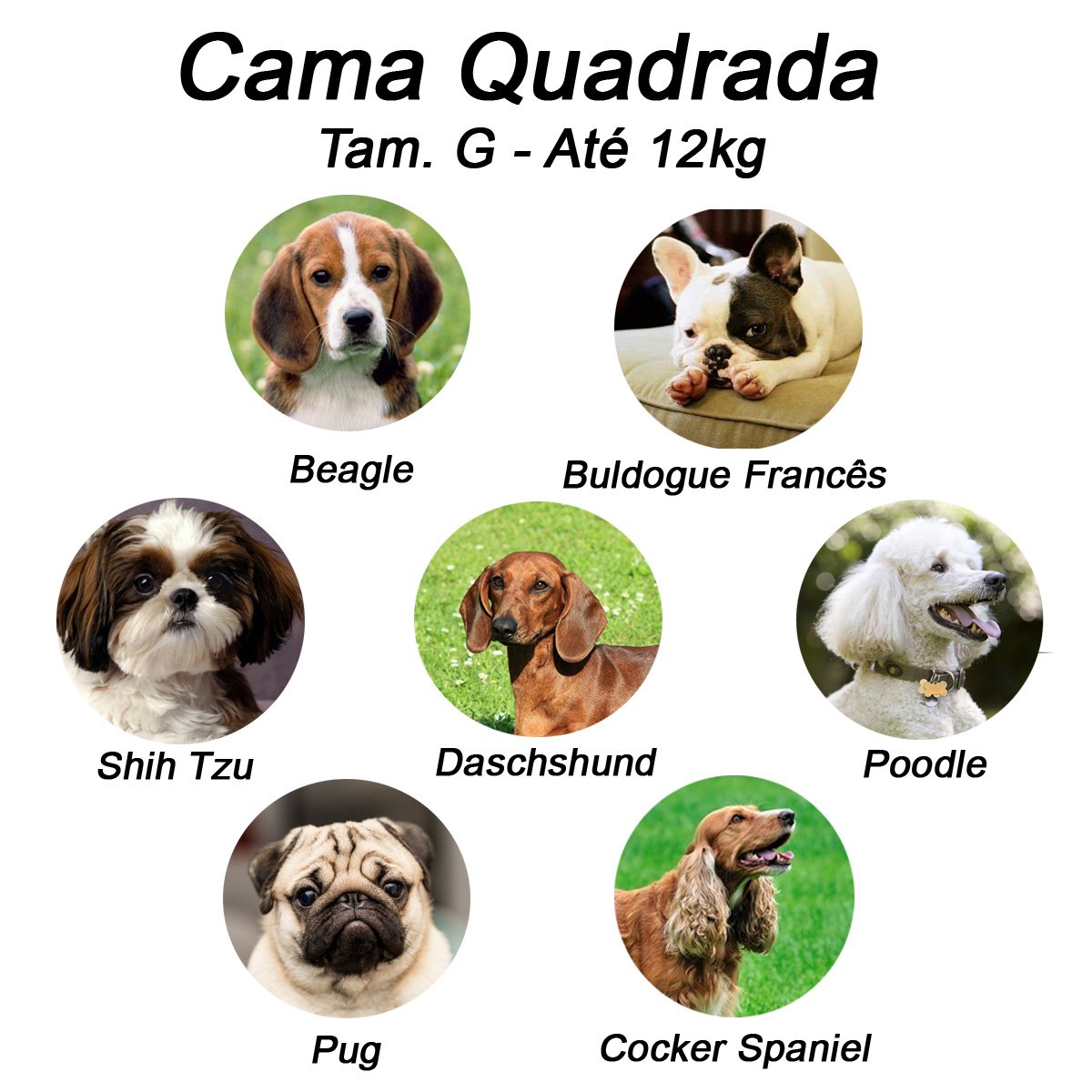 Cama Quadrada para Cachorro ou Gatos Super Luxo Luppet Bordo G - 6