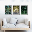 Ver imagem 1 de Kit 3 Quadros Decorativos Natureza- Árvores 24x18cm:madeira Preta