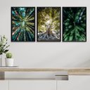 Ver imagem 2 de Kit 3 Quadros Decorativos Natureza- Árvores 24x18cm:madeira Preta