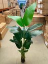 Ver imagem 7 de Bananeira Artificial Realista para Decoração Sala com 1.80m, Planta Decorativa para Casa e Eventos
