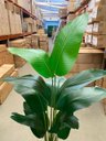 Ver imagem 6 de Bananeira Artificial Realista para Decoração Sala com 1.80m, Planta Decorativa para Casa e Eventos