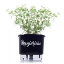 Ver imagem 4 de Kit 6 Vasos AutoIrrigáveis Preto Horta Vertical 3 prateleiras