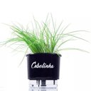 Ver imagem 5 de Kit 6 Vasos AutoIrrigáveis Preto Horta Vertical 3 prateleiras