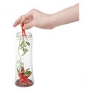Ver imagem 3 de Infusor de Ervas 550ml Kenya