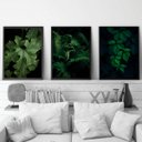 Ver imagem 2 de Kit 3 Quadros Folhagens 24x18cm - com vidro:Madeira preta