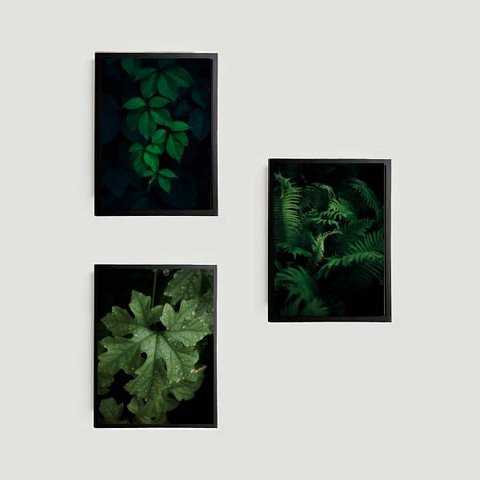 Kit 3 Quadros Folhagens 24x18cm - com vidro:Madeira preta