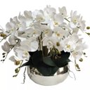 Ver imagem 1 de Arranjo Centro de Mesa 10 Orquídeas Brancas Bacia Prata