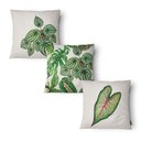 Ver imagem 4 de Kit 3 Capas de Almofada 43x43cm Microfibra Floral Folhagem Botânica Verde