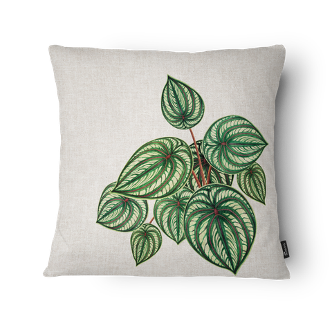 Kit 3 Capas de Almofada 43x43cm Microfibra Floral Folhagem Botânica Verde