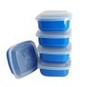 Conjunto de Potes Pequenos de Plástico Para Alimentos Com 10 peças - Azul - 1