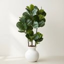 Ver imagem 7 de 2 Plantas Fícus Artificial Silicone Árvore Decorativa para Casa, Escritório, Evento Luxo Permanente