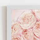 Ver imagem 2 de Quadro Peônia Rosa Bege Pêssego Flor Moldura Branca 60x40cm