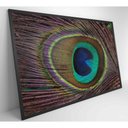 Ver imagem 5 de Quadro Penas De Pavão 120x80 Cm Adesivo Fotográfico