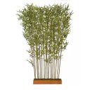 Ver imagem 1 de Árvore Artificial Canteiro Bambu Real Toque Verde 1,9m