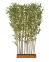 Ver imagem 1 de Árvore Artificial Canteiro Bambu Real Toque Verde 1,9m