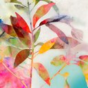 Ver imagem 1 de Charlotte I Canaleta 60x60cm Preta