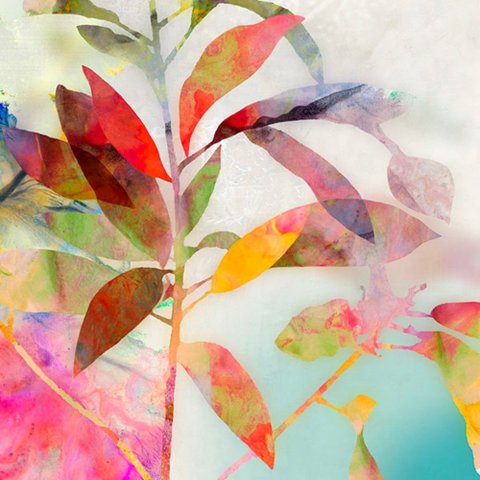 Charlotte I Canaleta 60x60cm Preta