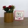 Kit Presente Dia das Mães Cachepot Para Plantas Mini Quadro - 1