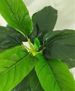 Ver imagem 2 de Planta Folhagem Artificiais de Bananeira 80cm Permanente