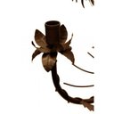 Ver imagem 7 de Lustre Rustico Sala de Estar Pendente com Flores Ouro Antigo 03 Braços - Verniz