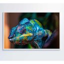 Ver imagem 4 de Quadro Camaleão Cores Vibrantes Medidas 120x80 Cm Impressão Tecido Canvas