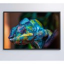 Ver imagem 3 de Quadro Camaleão Cores Vibrantes Medidas 120x80 Cm Impressão Tecido Canvas