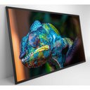 Ver imagem 6 de Quadro Camaleão Cores Vibrantes Medidas 120x80 Cm Impressão Tecido Canvas