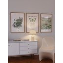 Ver imagem 1 de Kit 3 Quadros Decorativos Amor Afirmações Positivas Paz Moderno Verde