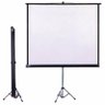 Tela de Projeção com Tripe 2,43 x 1,82 Nardelli Nrt-007 - 2