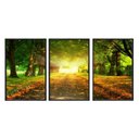 Ver imagem 1 de Kit 03 Quadros Decorativos - Tunel Verde Outono Flnt032k - Vidro com Impressão Uv - 40x60cm