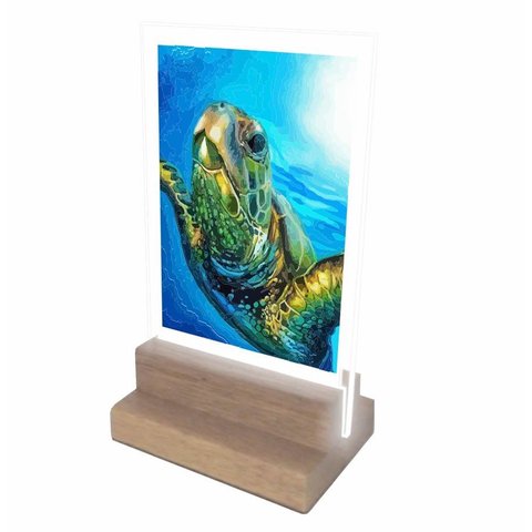Abajur e Luminária Decoração Tartaruga 2