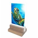 Ver imagem 1 de Abajur e Luminária Decoração Tartaruga 2