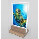 Ver imagem 2 de Abajur e Luminária Decoração Tartaruga 2