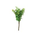 Ver imagem 3 de Murta Mini Folhagem (22cm)- Verde