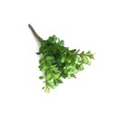 Ver imagem 2 de Murta Mini Folhagem (22cm)- Verde