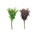 Ver imagem 4 de Murta Mini Folhagem (22cm)- Verde
