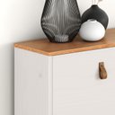 Ver imagem 6 de Sapateira Horizontal Hall de Entrada 4 Portas Mikka Branco 24 Pares Idimex