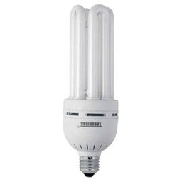 Lâmpada Fluorescente 40 Watts 127 Volts Taschibra - 1
