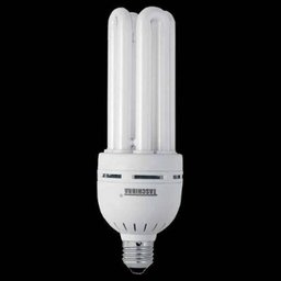 Lâmpada Fluorescente 40 Watts 127 Volts Taschibra - 2