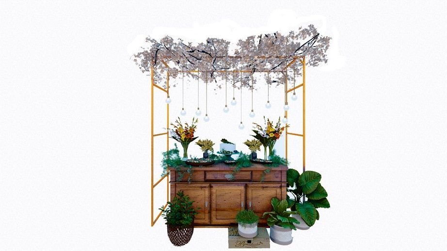 Kit Gazebo + Esteira de Palha Taboa para Decorar Jardins com Flores, 250cm Portátil e Desmontável - 7