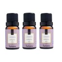 Ver imagem 1 de Kit 3 Essencias Lavanda 10ml Via Aroma
