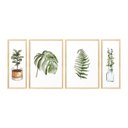 Ver imagem 1 de Kit 4 Quadros para Decoração Folhagem Plantas Cozinha Sala