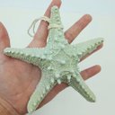 Ver imagem 4 de Estrela do Mar em Resina Enfeite Casa Praia 16cm Kit 3pçs