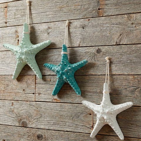Estrela do Mar em Resina Enfeite Casa Praia 16cm Kit 3pçs