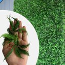 Ver imagem 5 de 24 Samambaias Artificiais de Folhagem Realista para Painel Parede Verde, Jardim de Inverno Vertical