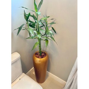 Vaso Decorativo Fibra de Vidro Florida P 65cm Dourado