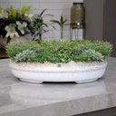 Ver imagem 2 de Vaso Bacia Decorativo Osaka Branco Gold Vietnamita 11,5x44x36 cm - D’Rossi