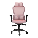 Ver imagem 1 de Cadeira de Escritório Ergonômica com Suporte Lombar em Tela Mesh Rose